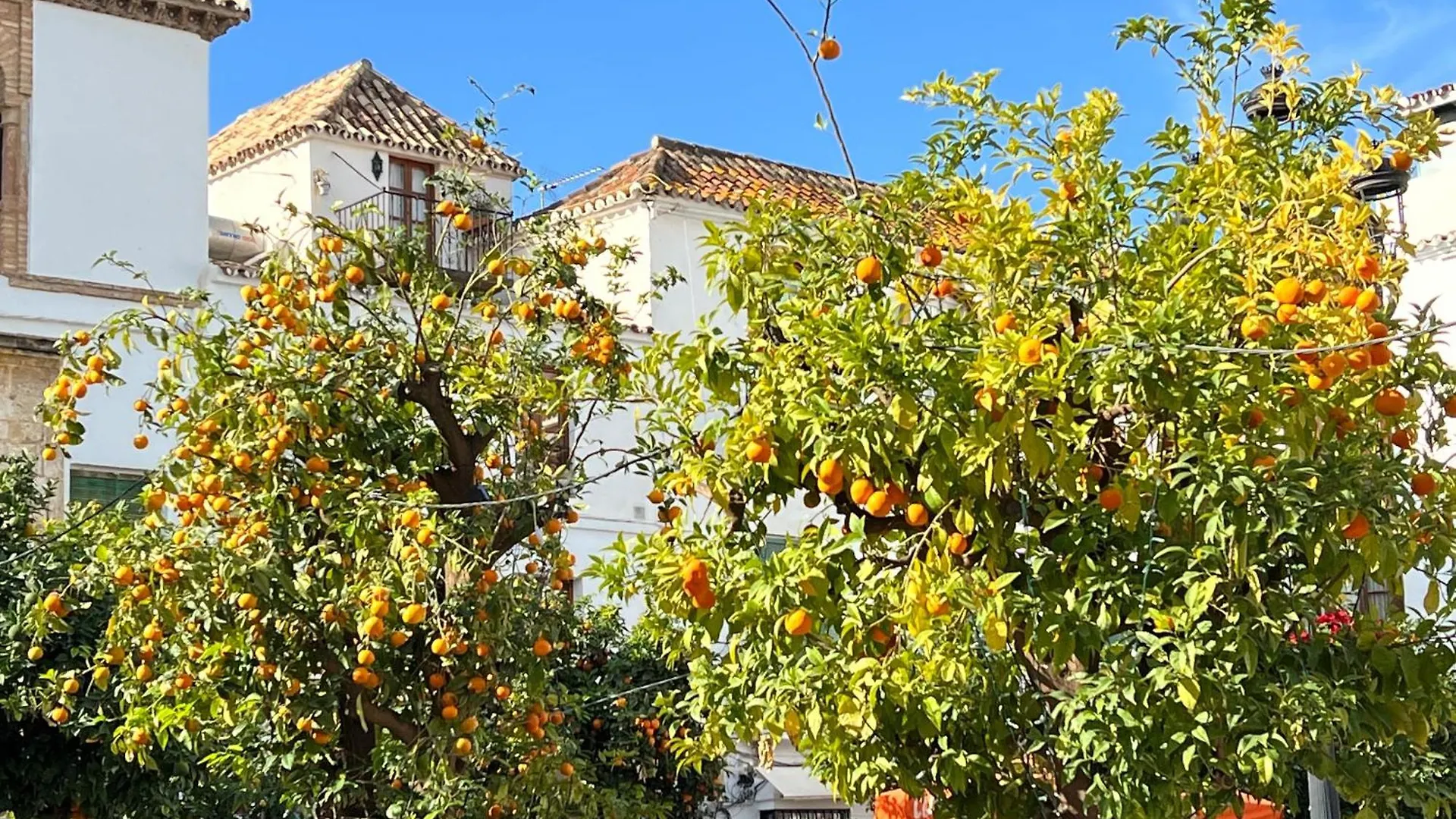 Casa Carolina - That One In Higueron With Jacuzzi, Pool And Best Views Mijas 0*,